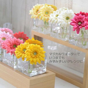 yӂ邳Ɣ[ŁzIׂJ[}WJEH[^[uK[xXNGAv 1 zCg CgCG[ CG[ sN zbgsN }[^ A[eBtBVt[  ԑ 