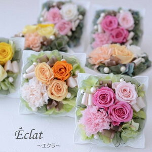 yӂ邳Ɣ[ŁzIׂJ[vU[uht[ AWuGNvi 1 o KN J[l[V A[eBtBVt[  ԑ   CeA t[A