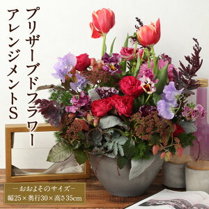 yӂ邳Ɣ[Łz yHANAGRAzG߂̃AWgS   t[AWg  ԉ ԑ CeA Mtg 蕨 v[g s s 