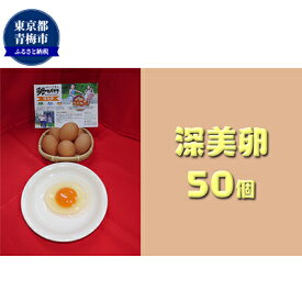 【ふるさと納税】かわなべ鶏卵農場のこだわりのたまご　深美卵50個　【卵・たまご・深美卵・L・天然水・抗生物質不使用・50個】