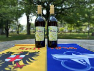 yӂ邳Ɣ[Łz2024NY@ossCZbg@͂F2026N420܂