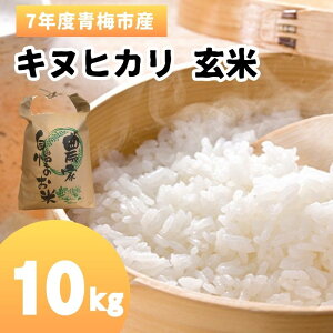 �y�ӂ邳�Ɣ[�Łz�ߘa7�N�x�Y ���� 10kg �~�s�Y �L�k�q�J�� ���� ��