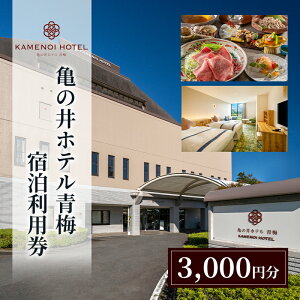 yӂ邳Ɣ[ŁzT̈ze~hpi3,000~jȗ  R Ƒ    Xk][g s ~s