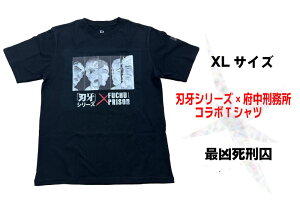 yӂ邳Ɣ[ŁzunvV[Y×{YR{TVcyŋYVer.z