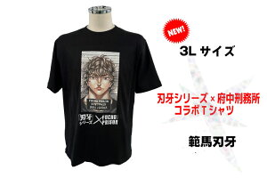 yӂ邳Ɣ[ŁzunvV[Y×{YR{TVcy͔nnVer.z