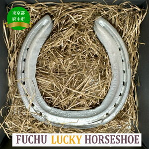 yӂ邳Ɣ[ŁzFUCHU@LUCKY@HORSESHOEiSjynESEEƓSz