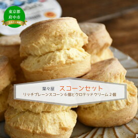 【ふるさと納税】葉々屋ティータイムセット（スコーンとクロテッドクリーム）【スコーン・お菓子・焼菓子・紅茶・ベーカリー】