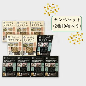 【ふるさと納税】テンペセット（2種10個入り）【加工食品・納豆・大豆・グルメ・発酵】