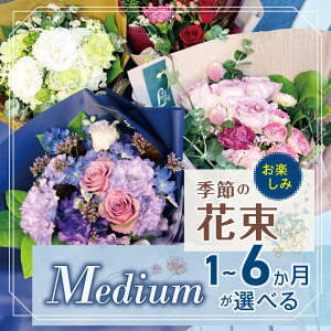 yӂ邳Ɣ[Łz  Iׂ t[ ԑ uMediumv y G  ԑ | u[P ^Cv 40cm 23cm  flower ӂ[  ͂ gV[h CeA A C 
