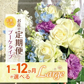 【ふるさと納税】 定期便 あり 花 お楽しみ お届け ブーケ タイプ 「Large」 | ブーケ タイプ 高さ35-40cm 本数12-17本 flower フラワー はな リトルシード インテリア 植物 定期 お任せ お見舞い ギフト お祝い 誕生日 親孝行 プレゼント贈り物 新鮮 調布 東京都