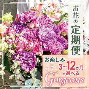 yӂ邳Ɣ[Łz Iׂ y݁I  uGorgeousv | u[P ^Cv 45cm-50cm {15-20{ flower t[ ӂ[  ͂ gV[h CeA A  C 