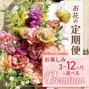 yӂ邳Ɣ[Łz Iׂ y݁I ԁuPremiumv | u[P ^Cv {20{ȏ  flower t[ ӂ[  ͂ gV[h CeA A   C 
