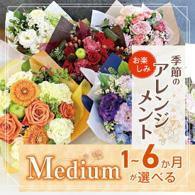 【ふるさと納税】 定期便 も 選べる フラワー アレンジ 「Medium」 お楽しみ 季節 の アレンジメント | アレンジ タイプ 高さ約26cm 幅約23cm お花 ふらわー 花 はな リトルシード インテリア 植物 お見舞い ギフト お祝い 誕生日 親孝行 プレゼント贈り物 新鮮 調布 東京都