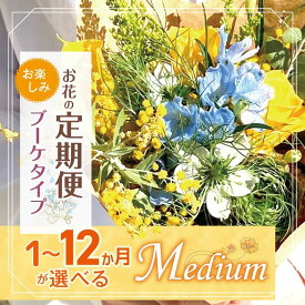 【ふるさと納税】定期便 も 選べる 花 お楽しみ 1～12ヶ月 お届け お花の定期便 Medium | ブーケ 高さ20-22cm flower フラワー ふらわー 花 はな リトルシード インテリア 植物 お任せ お見舞い ギフト お祝い 誕生日 親孝行 プレゼント贈り物 新鮮 調布 東京都 定期便 定期