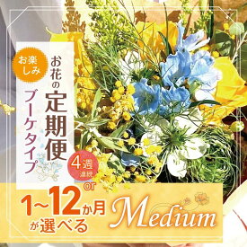 【ふるさと納税】定期便 も 選べる 花 お楽しみ 4週連続 or 1～12ヶ月 お届け お花の定期便 Medium | ブーケ 高さ20-22cm フラワー ふらわー はな リトルシード インテリア 植物 お任せ お見舞い ギフト お祝い 誕生日 親孝行 プレゼント贈り物 新鮮 調布 東京都 定期便 定期