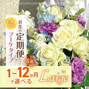 �y�ӂ邳�Ɣ[�Łz ����� �� �I�ׂ� �� ���y���� 4�T�A�� or 1�`12���� ���͂� �u�[�P �^�C�v �uLarge�v | ����35-40cm �{��12-17�{ flower �t�����[ �͂� ���g���V�[�h �C���e���A �A�� ��� ���C�� ��