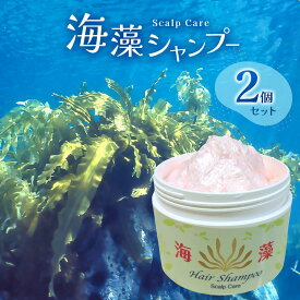 【ふるさと納税】 シャンプー 50年超のロングセラー 海藻 シャンプー 2個 セット | ロングセラー 石鹸シャンプー コラーゲン 海藻抽出成分 ノンシリコン 美容 頭皮 保湿 健康 調布 東京都 送料無料