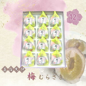 yӂ邳Ɣ[Łz aَq n98N ܏hV_ ~ނ炳 12Zbg | x  َq  ~  Q h S{aَqi]u Zp v z  