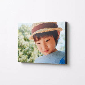 �y�ӂ邳�Ɣ[�Łz �x�m�t�C���� WALL DECOR �J�W���A�� A3 �I�ׂ� �ʎ� �O���b�V�[ or ���Z�a�� | �C���e���A �ʐ^ �v���o �L�O �ʐ^ �p�l�����H �V���v�� ���_�� �y�� �x�m�t�C�����C���[�W���O