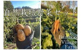 【ふるさと納税】Bamboo Village Farm　自然栽培で育てた町田野菜セット