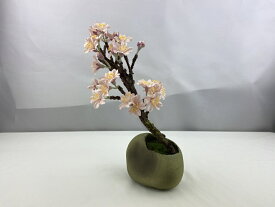 【ふるさと納税】手漉き和紙使用　ソメイヨシノ盆栽