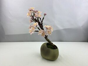 yӂ邳Ɣ[Łz荗agp@\CVm~