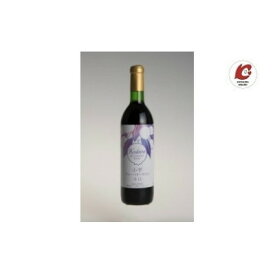 【ふるさと納税】ブルーベリーワイン・スタンダード 1本　辛口/中口【G1652414】