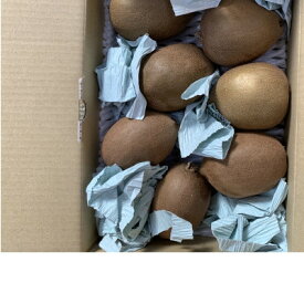 【ふるさと納税】キウイフルーツ東京ゴールド　約2.5k箱詰め 　2026年10月より順次発送【1457036】