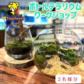 【ふるさと納税】ボトルテラリウムワークショップ　2名様分【1692178】