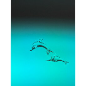 【ふるさと納税】ガラスのイルカ 親子セット【1701818】