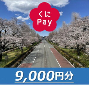 yӂ邳Ɣ[ŁzsfW^nʉ݁wPayx9,000|Cgy1587149z