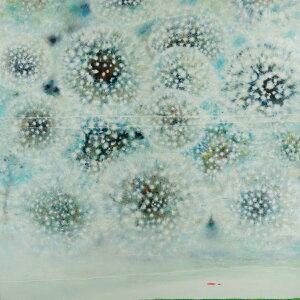 yӂ邳Ɣ[ŁzuFv G TCY 162.0cm × 162.0cm ӂ邳Ɣ[ G A[g G LpX s as HAS003