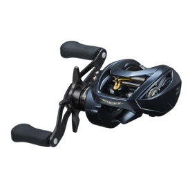 【ふるさと納税】【釣具のダイワ】のベイトリール　スティーズ AII TW 1000H(右ハンドル)【1421455】