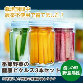 【ふるさと納税】【東京都東久留米市】季節の野菜を詰め込んだ健康ピクルス 150g×3本【1461149】