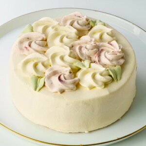 yӂ邳Ɣ[Łz5N[fR[V Ԃ̂ڂyzsnFzy1439297z