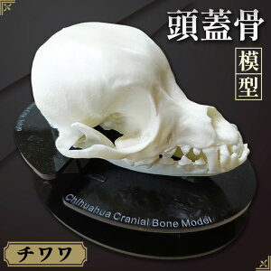 yӂ邳Ɣ[Łz`̓W͌^ ^ ͌^   i ͌^ b f@ CtH[hRZg CeA s No.152