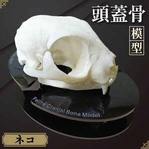 yӂ邳Ɣ[ŁzlR̓W͌^ ^ ͌^ L  i ͌^ b f@ CtH[hRZg CeA s No.153