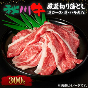 yӂ邳Ɣ[ŁzyјazH싍I؂藎Ƃk[XEEo300glyzsnFzy1396909z