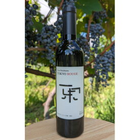 【ふるさと納税】東京ルージュ2023【配送不可地域：離島】【1449482】