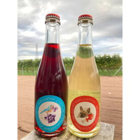 【ふるさと納税】甘味果実酒　2本セット【配送不可地域：離島】【1449504】