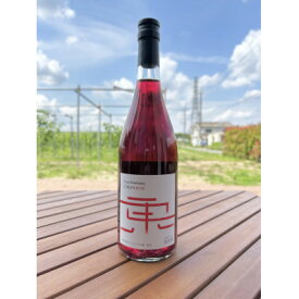 【ふるさと納税】東京ロゼ　750ml×1本【配送不可地域：離島】【1511744】