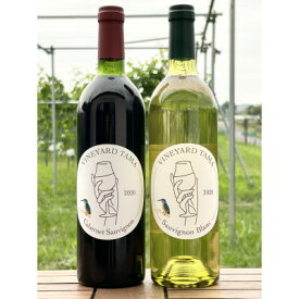 【ふるさと納税】「カベルネソーヴィニヨン2020」「ソーヴィニョンブラン2020」2本セット【配送不可地域：離島】【1522063】