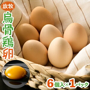 yӂ邳Ɣ[ŁzqG{@6×1pbNyg][t@[zyzsnFzy1522296z