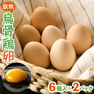 yӂ邳Ɣ[ŁzqG{@6×2pbNyg][t@[zyzsnFzy1555485z