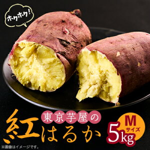 yӂ邳Ɣ[ŁzsYTc}C5kg(g͂邩)MTCYy1601473z