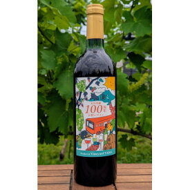 【ふるさと納税】五日市線100周年お祝いワイン　赤　JR東日本商品化許諾済【配送不可地域：離島】【1633367】