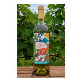 【ふるさと納税】五日市線100周年お祝いワイン　白　JR東日本商品化許諾済【配送不可地域：離島】【1633369】