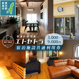 【ふるさと納税】 旅行 宿泊 サウナ サ活 宿泊券 共通利用券 ゲストハウス エトセトラ 東京都 新島 GrowRoom