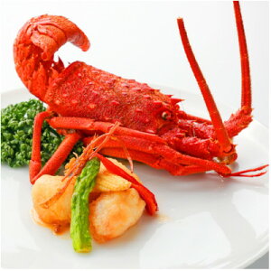 yӂ邳Ɣ[Łzl؊X xטO xMR[X(9i) @yAHy1683048z