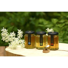 【ふるさと納税】大倉山ハチミツ・季節の花蜜2本セット | ハニー 蜂蜜 食品 人気 おすすめ 送料無料 数量限定